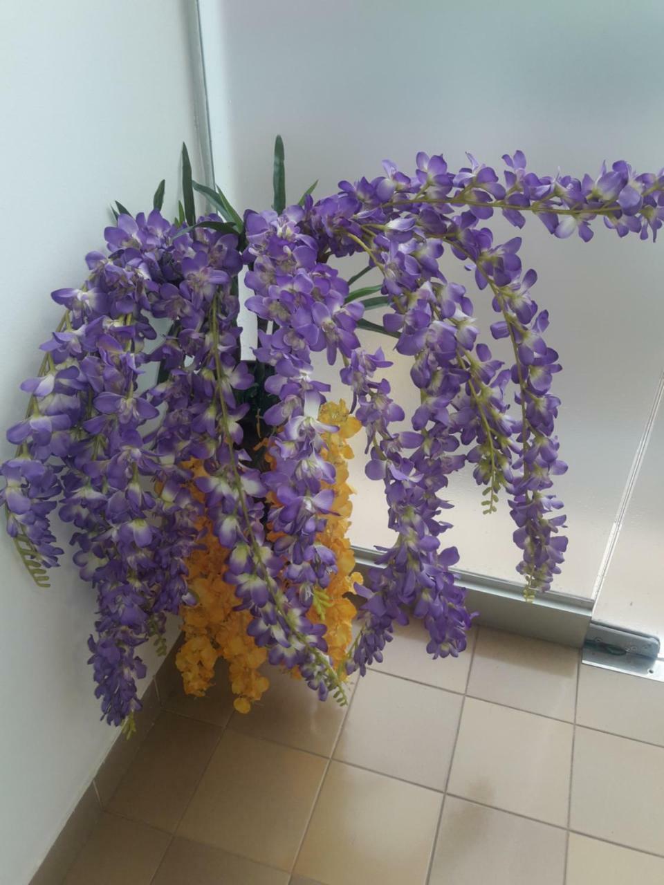 Hotel Casa Jardin アスンシオン エクステリア 写真